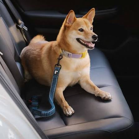 Adjustable Pet Car Seat Belt — Keep Your Dog Safe During Every Ride 🐾